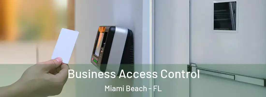Business Access Control Miami Beach - FL