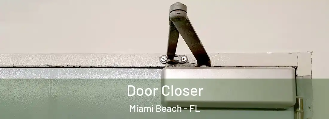 Door Closer Miami Beach - FL