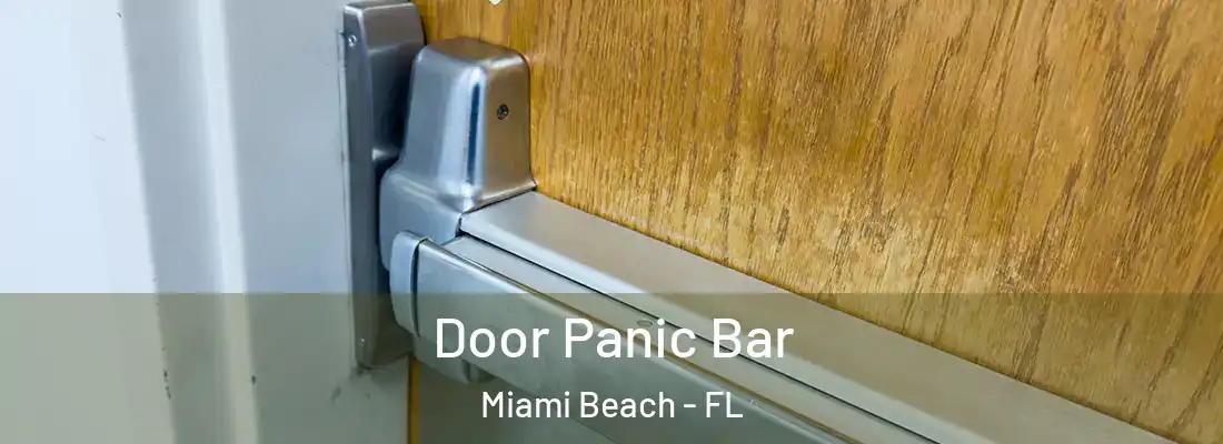 Door Panic Bar Miami Beach - FL