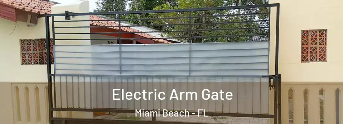 Electric Arm Gate Miami Beach - FL
