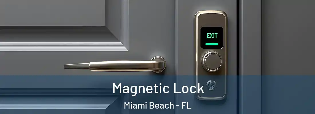  Magnetic Lock Miami Beach - FL